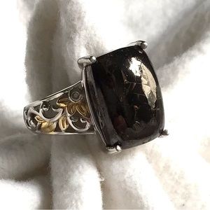 Shungite Ring in Platinum & Gold Over Brass